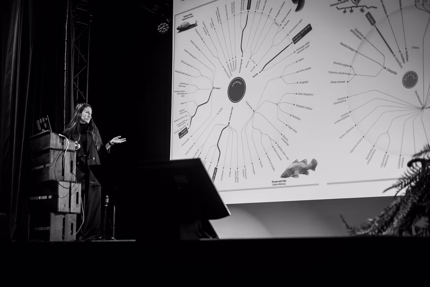 Photo of Tiziana Alocci taken at beyond tellerrand in Berlin 2022 by Florian Ziegler