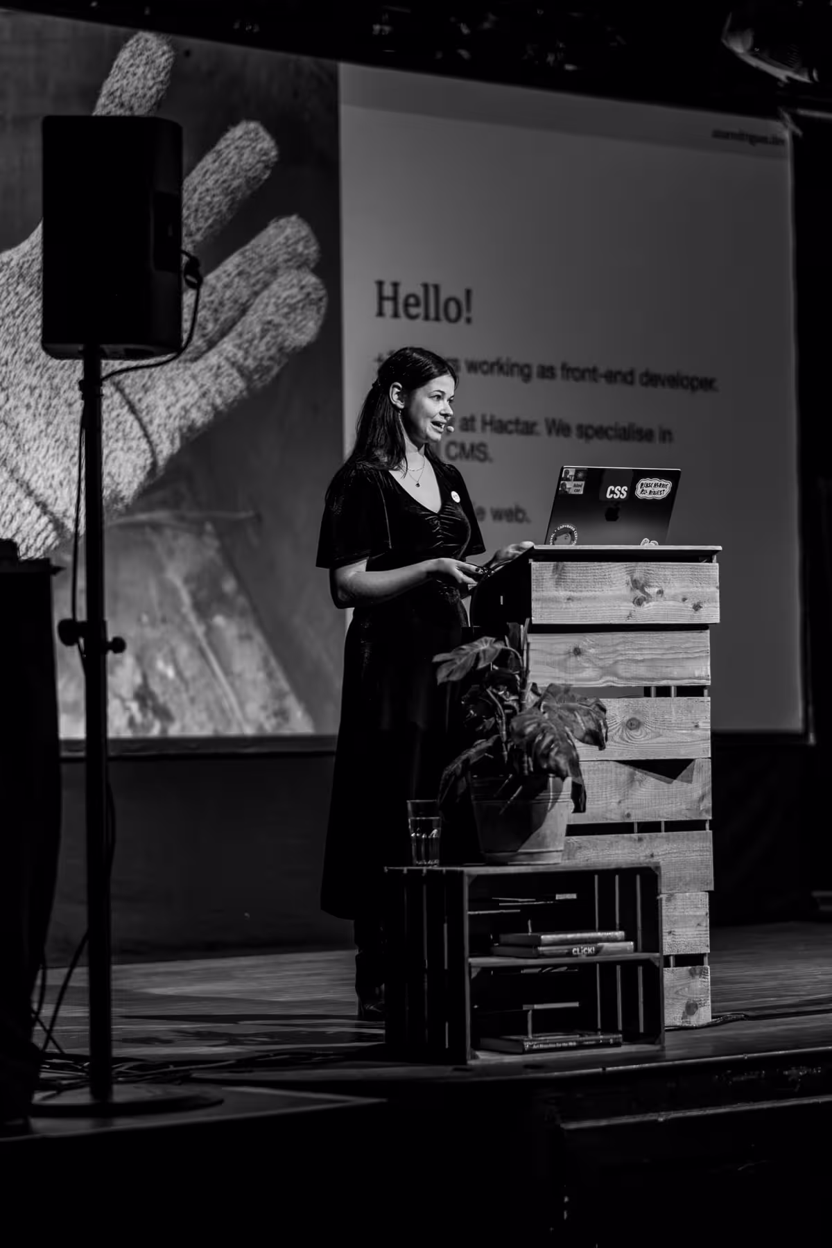 Photo of Ana Rodrigues taken at beyond tellerrand in Berlin 2025 by Florian Ziegler