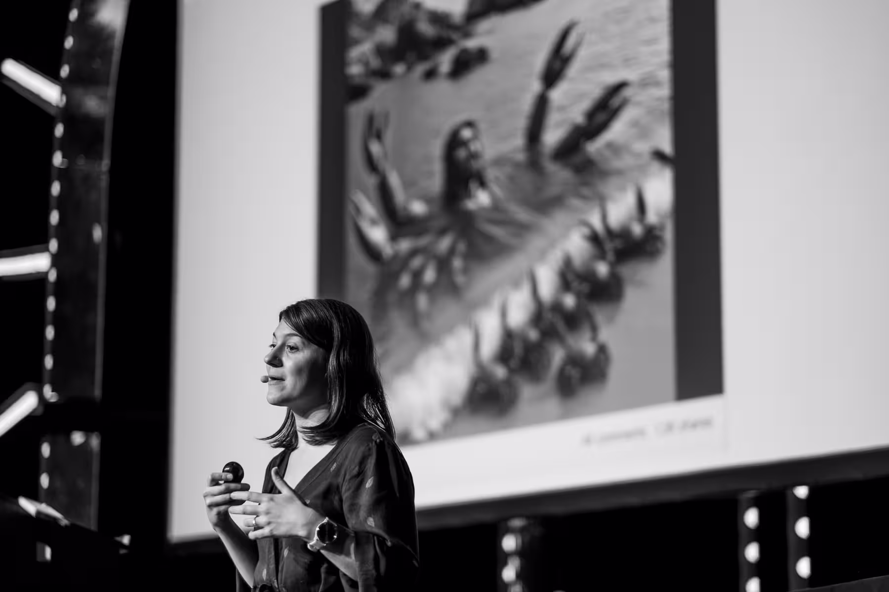 Photo of Maggie Appleton taken at beyond tellerrand in Düsseldorf 2024 by Florian Ziegler
