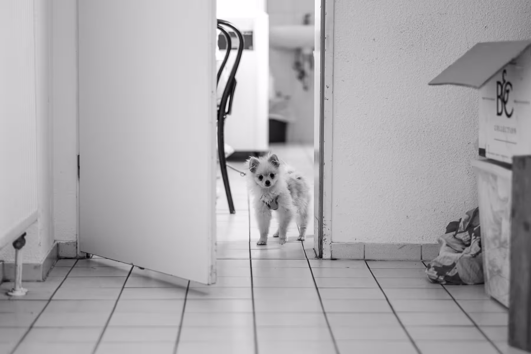 Photo taken at beyond tellerrand in Düsseldorf 2025 by Florian Ziegler